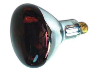 Infrared Therapy Bulb ES E27 250w